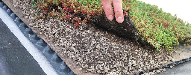 Is een vergunning nodig voor een groendak?